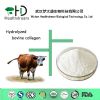 bovine collagen powder