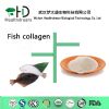 fish  collagen